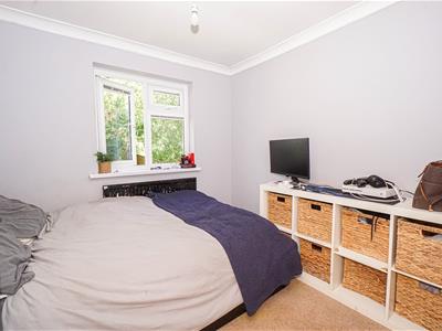 Picture 12